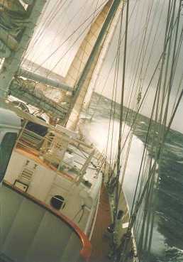 stevige bries