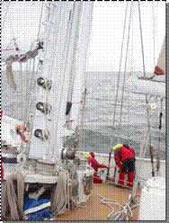 P7070494